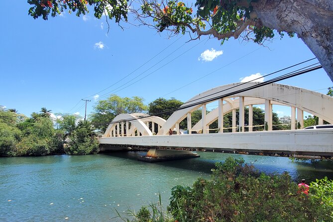 Round Trip North Shore Shuttle From Waikiki to Haleiwa Town / Haleiwa Harbor - Experienced and Professional Drivers