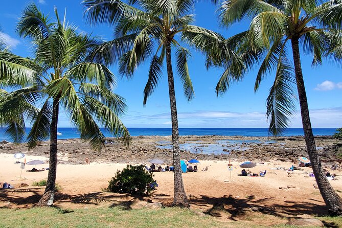 Round Trip North Shore Shuttle From Waikiki to Haleiwa Town / Haleiwa Harbor - Common Questions