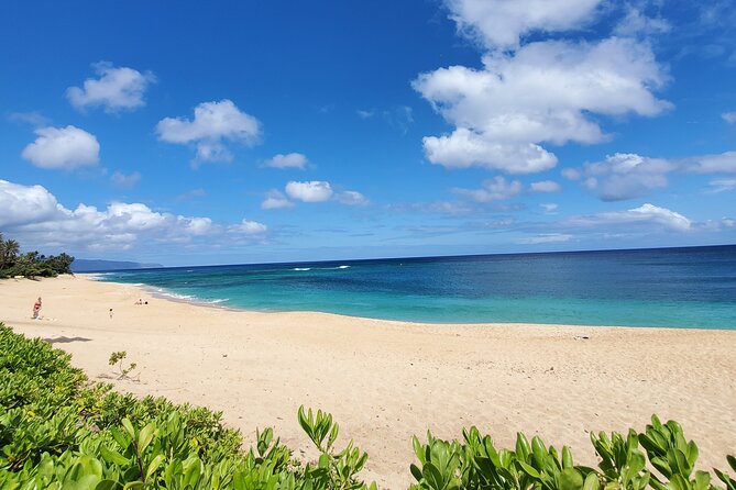 Round Trip North Shore Shuttle From Waikiki to Haleiwa Town / Haleiwa Harbor - The Sum Up
