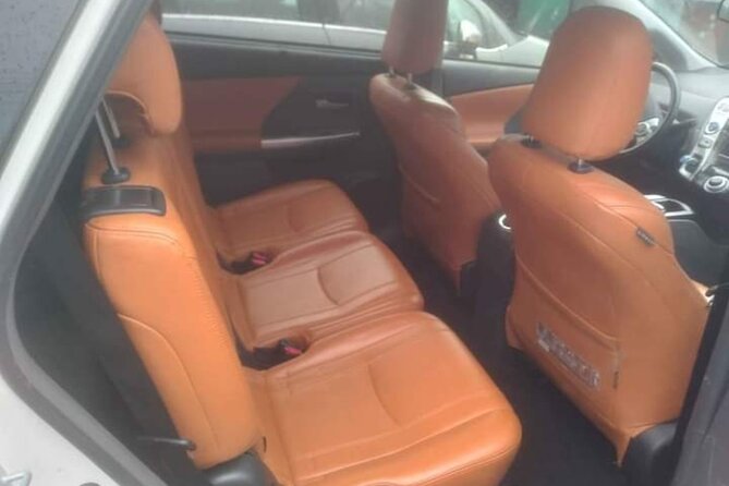Round Trip Private Transfer Charles De Gaulle Disneyland Paris - Reliable and Professional Drivers