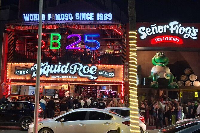 Round Trip Private Trip Los Cabos Airport to Cabo San Lucas - Amenities and Extra Details