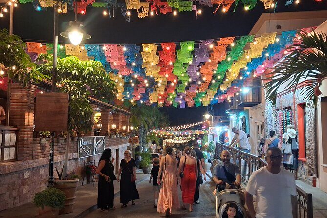 Round Trip Private Trip Los Cabos-San Jose Cabo Airport - What’s Included?