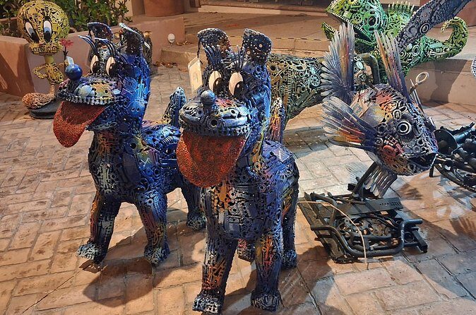 Round Trip Private Trip Los Cabos-San Jose Cabo Airport - Practical Tips & Insights