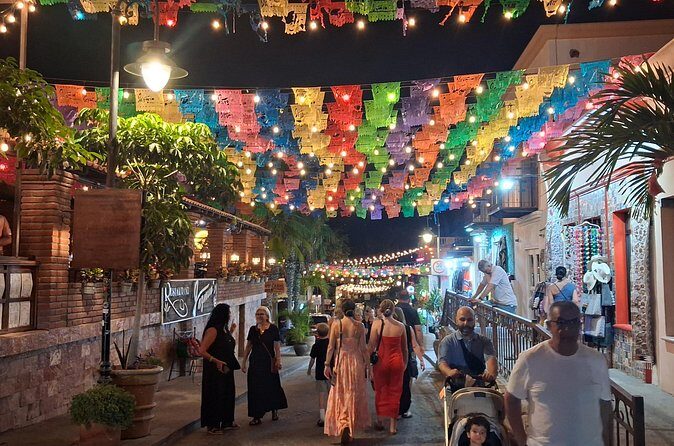 Round Trip Private Trip Los Cabos-San Jose Cabo Airport - Authentic Traveler Insights