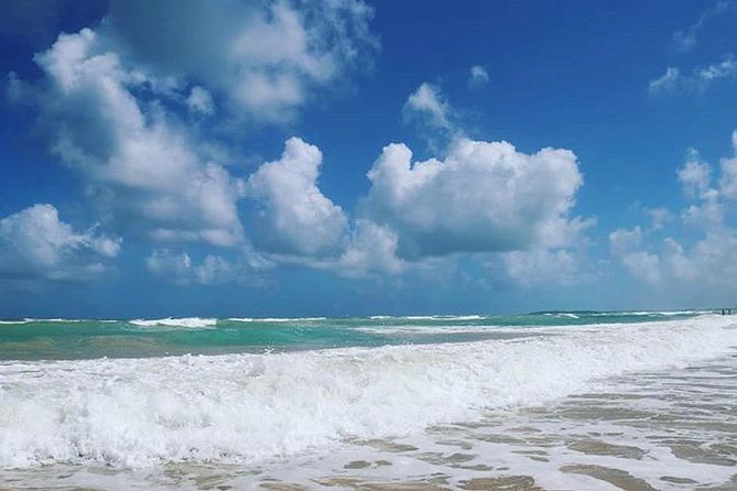 Round Trip Shuttle - Punta Cana Airport Shuttle 7-10 Passengers - Shuttle Service Highlights