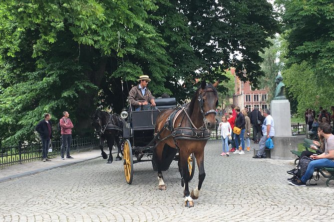 Round-Trip Shuttle Service From Zeebrugge to Bruges - Schedule and Locations