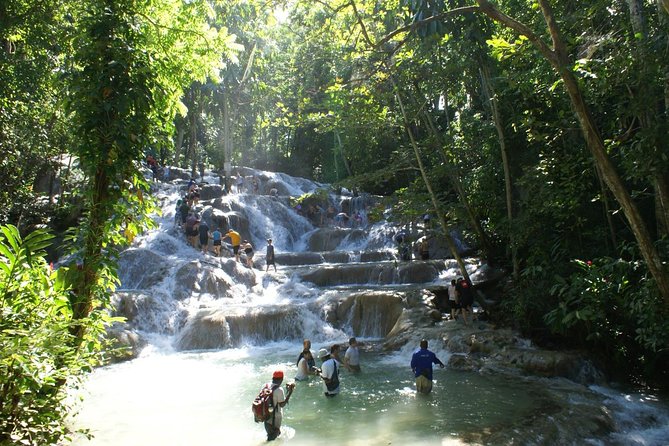 Round-Trip Shuttle Transportation to Dunns River Falls From Montego Bay - Pricing Details