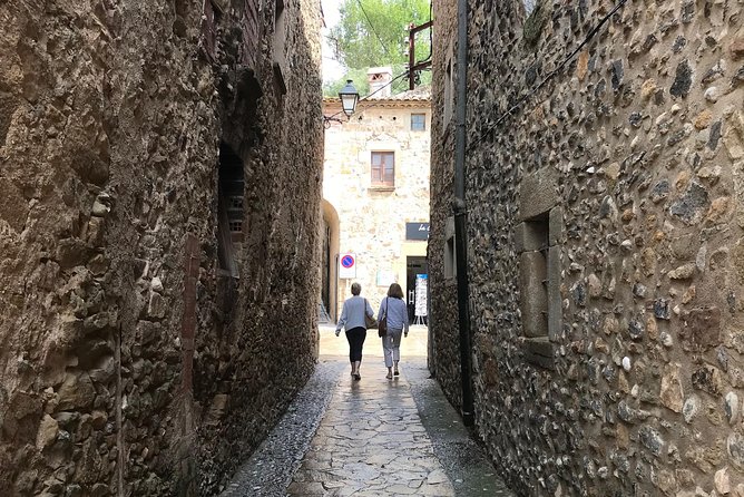 Round-Trip Transfer: Dalí Museum in Figueres & Púbol With Optional Wine Tasting - Tour Highlights