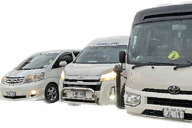 Round Trip Transfer-Nadi Airport to Denarau Island Resorts - Pricing and Terms
