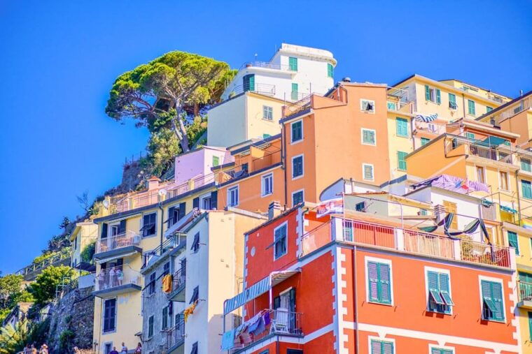 Round Trip Transfer to Cinque Terre From Florence - Included Services and Features