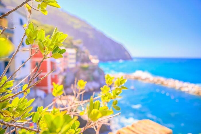 Round Trip Transfer to Cinque Terre From Florence - Customer Reviews and Feedback