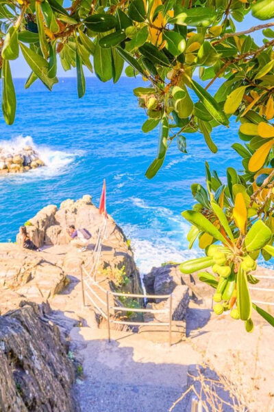 Round Trip Transfer to Cinque Terre From Florence - Meeting Point Information