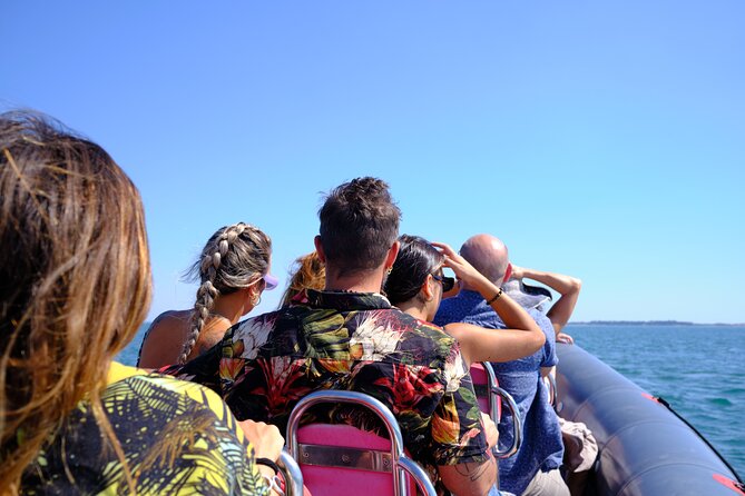 Round Trip Transportation From Setúbal to Cabeços Island - Transportation Details