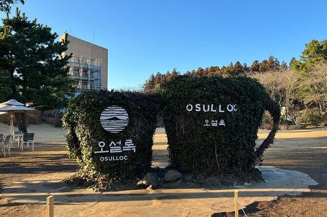 Round-trip transportation service to O`sulloc Tea Museum - Exploring the O’sulloc Tea Museum with Private Transport in Jeju