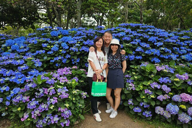 Round-trip transportation service to O`sulloc Tea Museum - The Sum Up