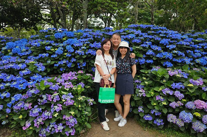 Round-trip transportation service to O`sulloc Tea Museum - FAQs