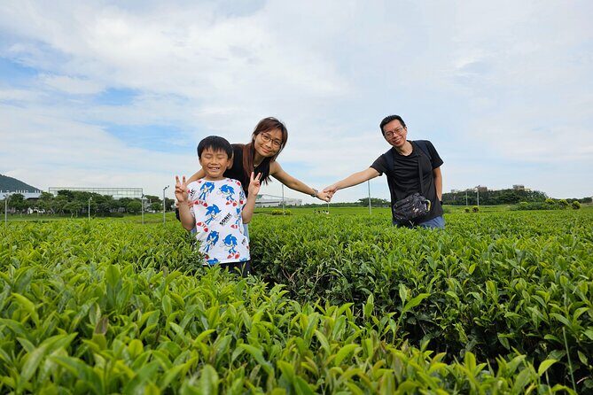 Round-trip transportation service to O`sulloc Tea Museum - Why Choose This Tour?