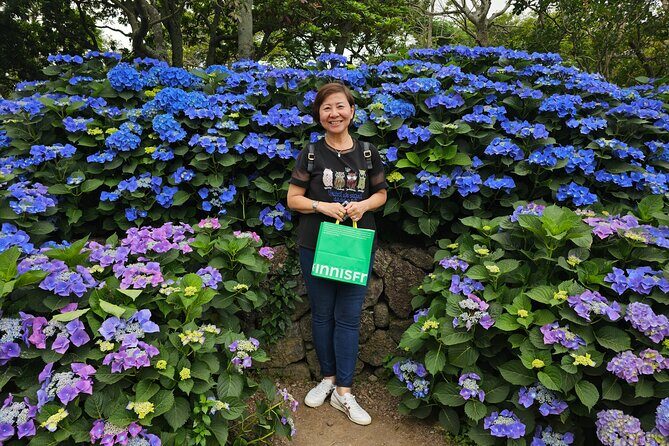 Round-trip transportation service to O`sulloc Tea Museum - The Experience at O’sulloc Tea Museum