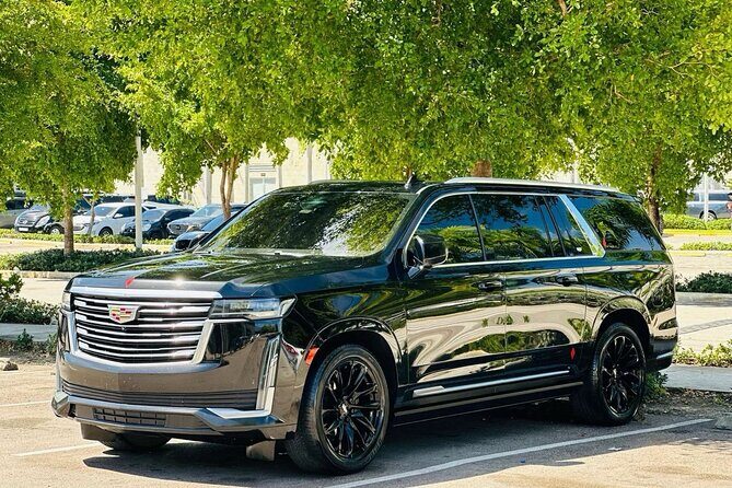 ROUNDTRIP Bavaro/Punta Cana AREA - PUJ Airport - LUXURY SERVICE - Why This Transfer Service Works for You