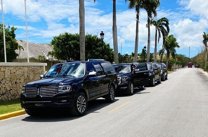 Roundtrip Executive Transfer from Punta Cana Airport (PUJ) - Who Should Book This Transfer?