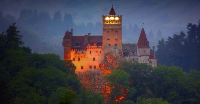 Roundtrip From Bucharest to BrașOv: Chauffeur-Driven Tour - Chauffeur and Vehicle Information