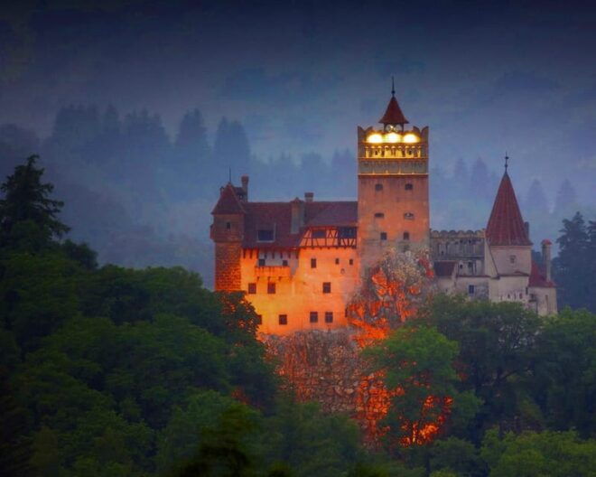 Roundtrip From Bucharest to BrașOv: Chauffeur-Driven Tour - Exclusions From the Tour