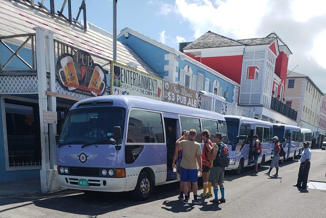 Roundtrip Shuttle From Cruise Terminal at Prince George Wharf - Booking Details