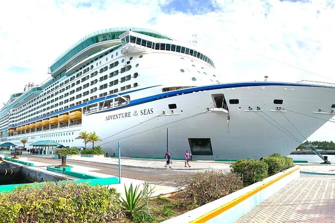 Roundtrip Shuttle From Cruise Terminal at Prince George Wharf - Inclusions
