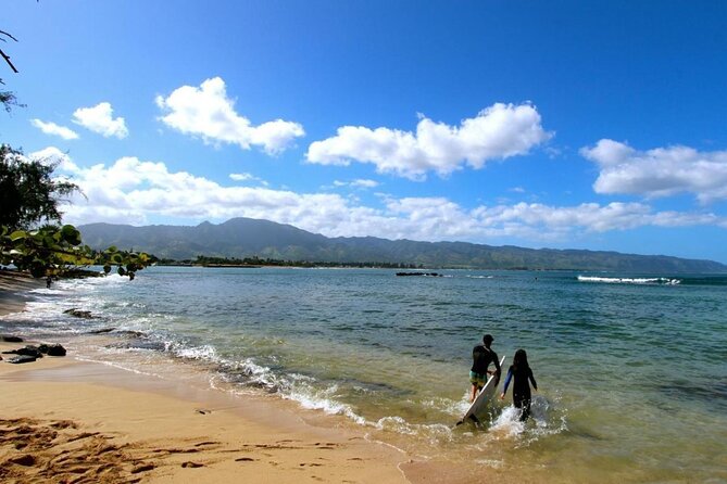 Roundtrip Shuttle From Waikiki to Dole Plantation & Haleiwa Town - Meeting and Pickup