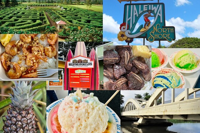 Roundtrip Shuttle From Waikiki to Dole Plantation & Haleiwa Town - The Sum Up