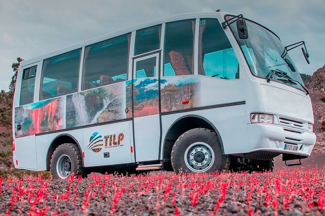 Roundtrip Transfer Caldera De Taburiente and Guaguas Station - Inclusions