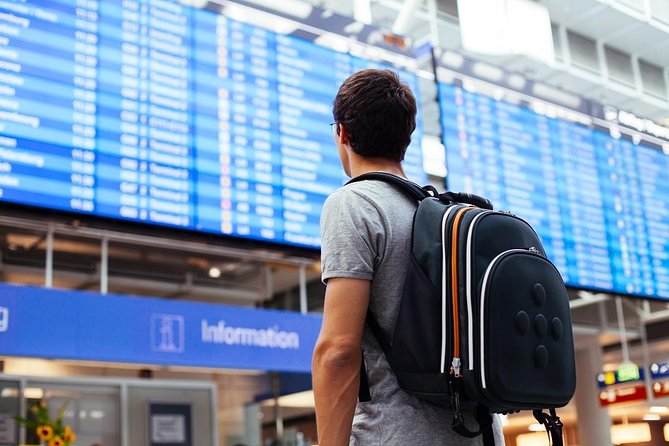 Roundtrip Transfer Private Vehicle Frankfurt Airport (FRA) - Frankfurt City - Overall Rating and Reviews