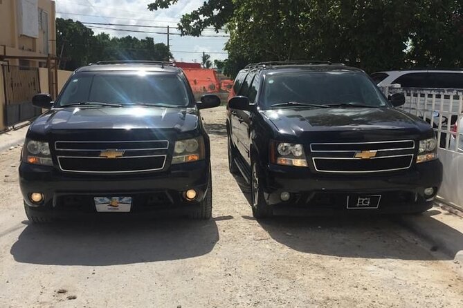 Roundtrip VIP Transfer From Punta Cana Airport to Punta Cana Hotels - Overview of the Experience