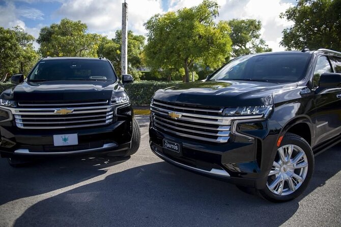 Roundtrip VIP Transfer From Punta Cana Airport to Punta Cana Hotels - Meeting and Pickup Information