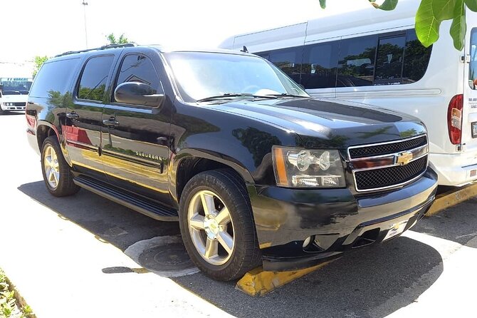 Roundtrip VIP Transfer From Punta Cana Airport to Punta Cana Hotels - Group Size and Pricing