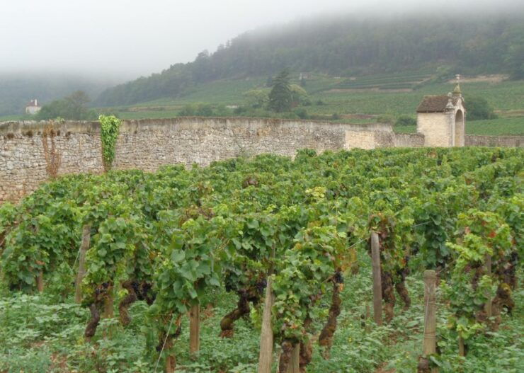 Route Des Grands Crus", Wine Tasting in Burgundy ! - Overview of the Route Des Grands Crus