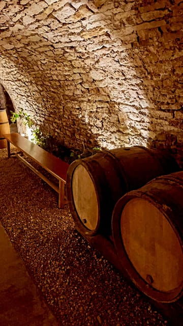 Route Du Champagne: Food and Wine Tour - Tour Experience