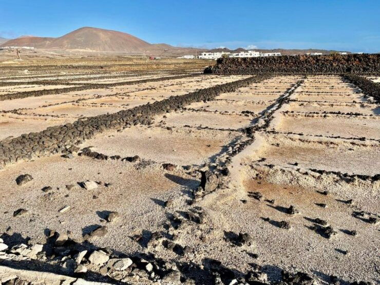 Route Guided on the Volcanic Coast of Lanzarote. - Activity Details