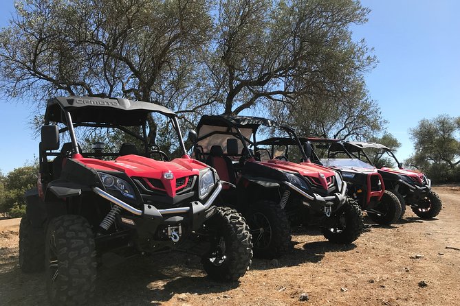 ROUTE IN BUGGY 1,30h - Tips for a Memorable Buggy Ride Experience