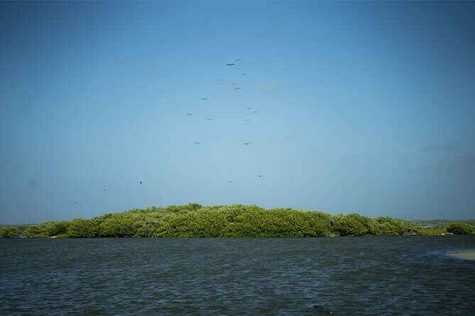 Route of Adventure: Punta Sur Park and Clear Boat Cozumel - Practical Aspects and Tips