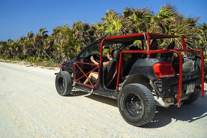 Route of Adventure: Punta Sur Park and Clear Boat Cozumel - The Sum Up