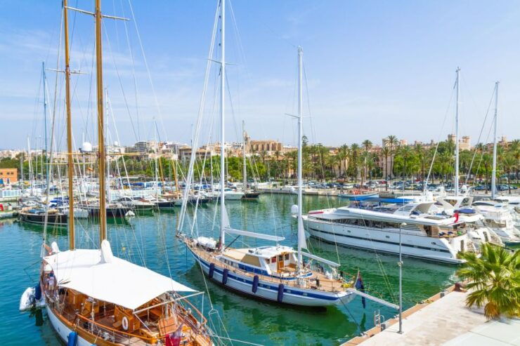 Route of Celebrities and Royalty in Palma De Mallorca - Booking Information