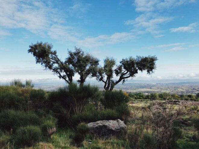 ROUTE OF COFFEE SMUGGLING MARVÃO - Personalized Exclusive Tour Experience