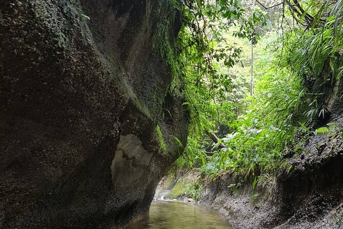Route of the Dreams Full-day Trekking Jungle Tour in Tena - Tour Overview