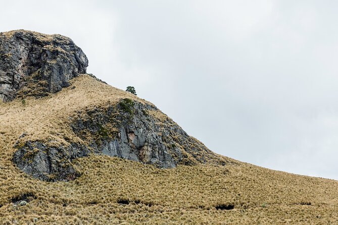 Route of the Volcanoes Iztaccíhuatl and Ancestral Heritage - Reviews and Testimonials