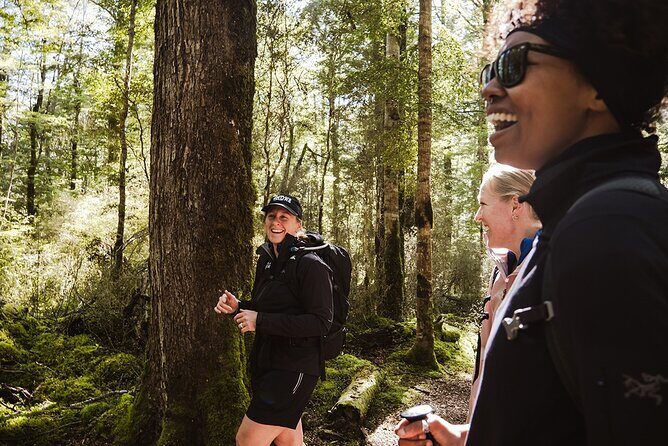 Routeburn Guided Day Hike from Te Anau with Lunch & Transport - Who Will Love This Tour?