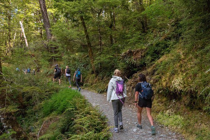 Routeburn Track Guided Hike (Full Day) - An Overview of the Full-Day Routeburn Track Guided Hike