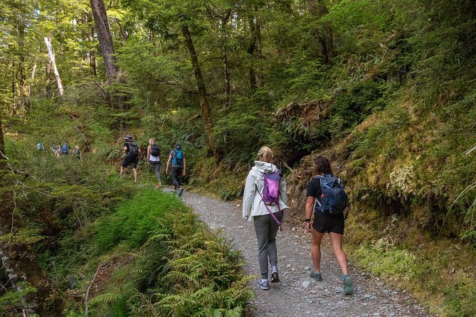 Routeburn Track Guided Walk (Half-Day) - Common Questions