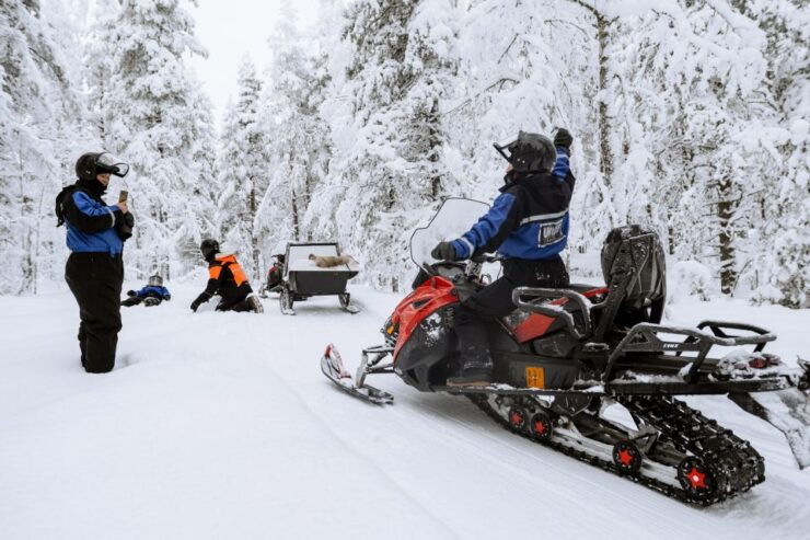 Rovaniemi: 3-Hour Family Snowmobile Safari - Activity Highlights of the Safari