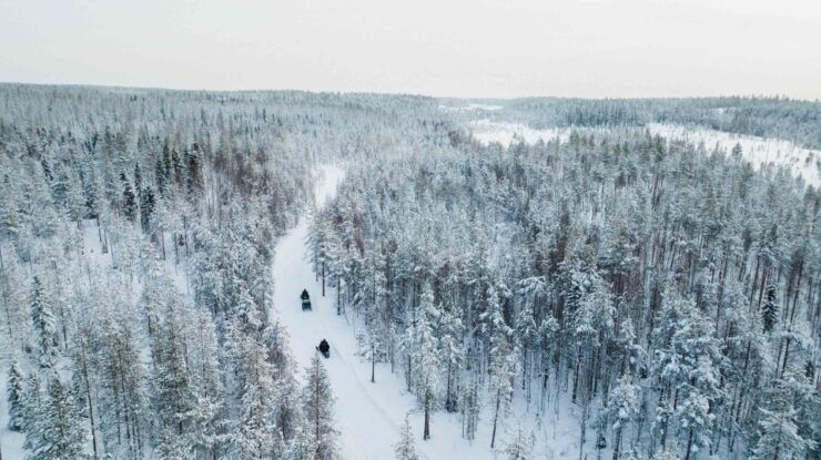 Rovaniemi: 3-Hour Snowmobile Safari in Lapland - Activity Details